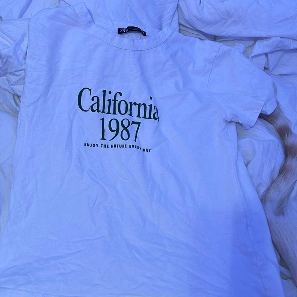 Zara shirt